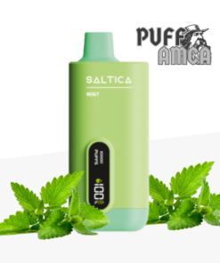 saltica 10000 mint puff puffamcaa.com.tr