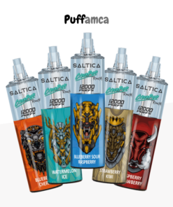 saltica 12000 puff puffamcaa.com.tr