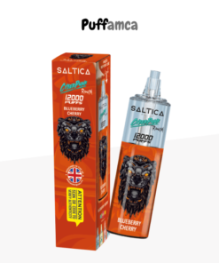 saltica 12000 puff puffamcaa.com.tr