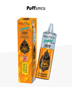 saltica 12000 puff puffamcaa.com.tr
