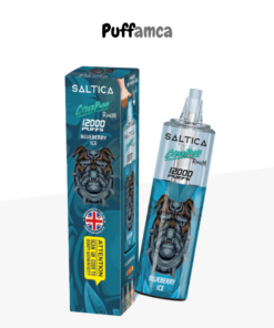 saltica 12000 puff puffamcaa.com.tr