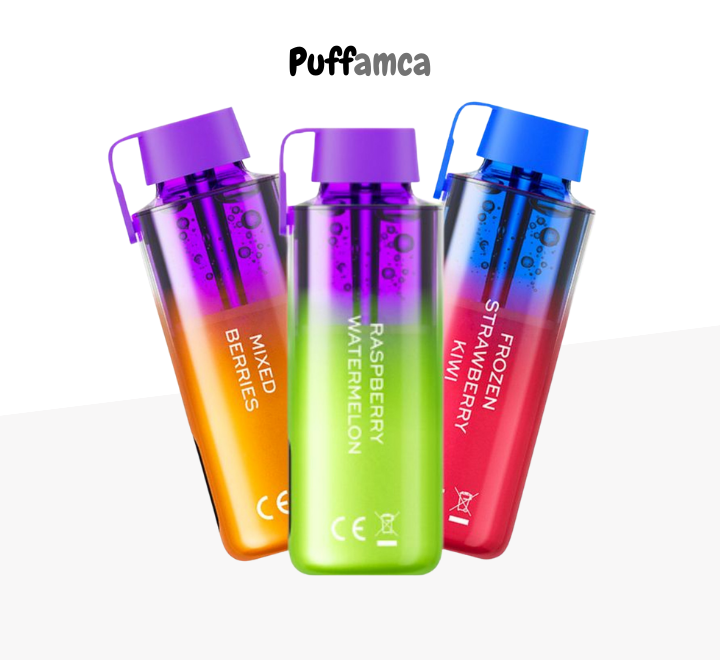 Vozol Neon 10000 Puff puffamcaa.com.tr