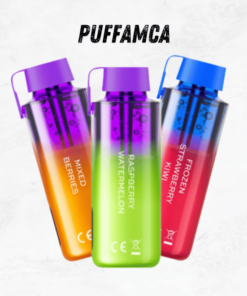 Vozol Neon 10000 Puff puffamcaa.com.tr
